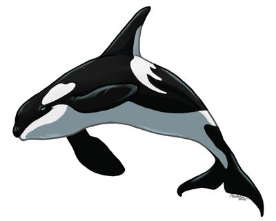 Dragoniade (Orca)
Commission done by Abelphee
Keywords: Abelphee;Dragoniade Orca