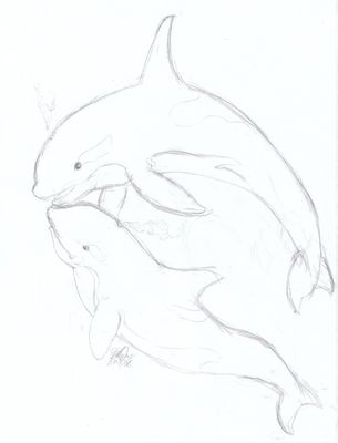 Orca Transformation 6/7
Commission done by Ageaus
Keywords: Ageaus;Orca TF;Dragoniade Orca