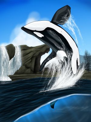 Dragoniade (Orca)
Commission done by AngelMC18
Keywords: AngelMC18;Dragoniade Orca