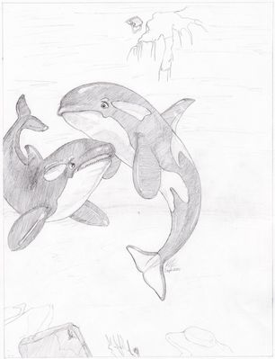 Dragoniade (Orca) Transformation  4/4
Commission done by Artist-guy
Keywords: ArtistGuy;Dragoniade Orca;Orca TF