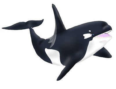 Draoniade (Orca) Transformation 4/4
Commission done by DanteVergilLoverAR
Keywords: DanteVergilLoverAR;Dragoniade Orca;Orca TF