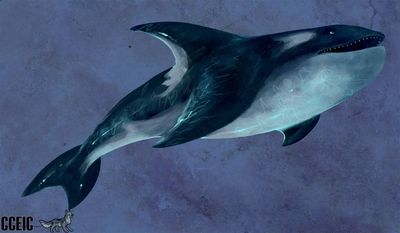 Dragoniade (Orca)
Commission done by Eic
Keywords: Eic;Dragoniade Orca