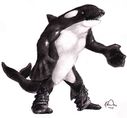 Dragoniade_Orca_TF_001_clean.jpg