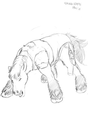 Horse Transformation 1/3
Commission done by Ludovic
Keywords: Ludovic;Equine TF