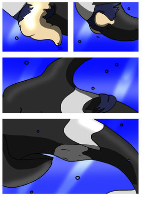 Orca Transformation 5/6
Commission done by Rex-Equinox
Keywords: Rex-Equinox;Orca TF;Dragoniade Orca