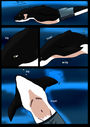 Orca-Tf-Page4.jpg