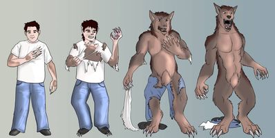 Werewolf Transformation
Commission done by [url=http://sugarpoultry.deviantart.com/]Sugarpoultry[/url]
Keywords: Sugarpoultry;Werewolf TF