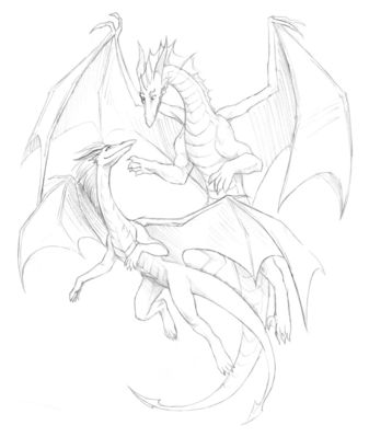 Dragoniade & Sil'vah (Dragon)
Request done by Falingard
Keywords: Falingard;Dragoniade Dragon;Silvah Dragon